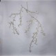 AM1330 BLOSSOM